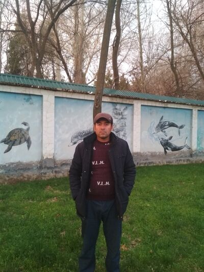 ,   , 44 ,   ,   , c , 