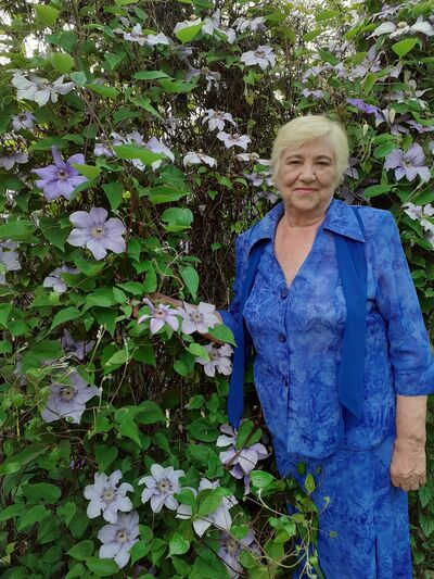  ,   , 65 ,     