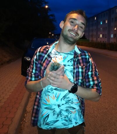  ,   , 33 ,   ,   , c , 