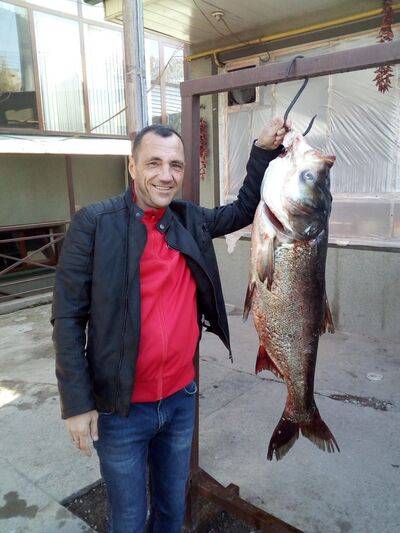  ,   , 51 ,   