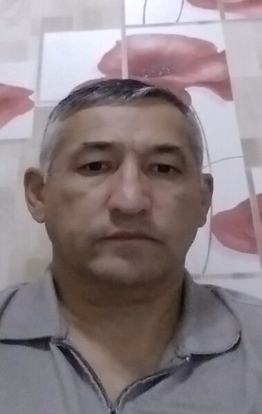  ,   , 58 ,  
