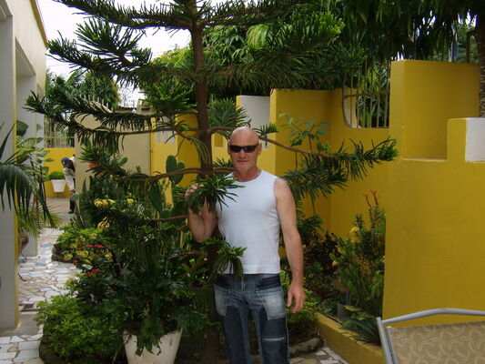  ,   Viktor, 53 ,   ,   , c 