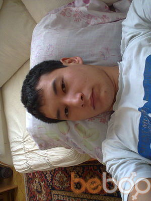  3301633  , 32 ,    