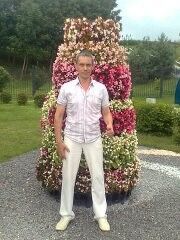  ,   , 53 ,   
