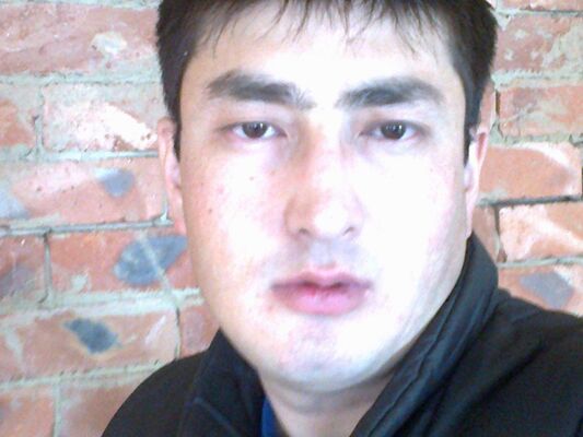  -,   , 41 ,   