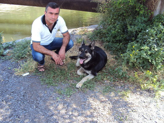  ,   Hrayr, 55 ,   