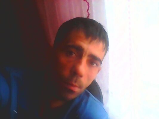  ,   , 44 ,   