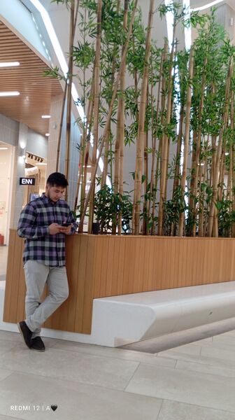  ,   Toyly, 18 ,   ,   