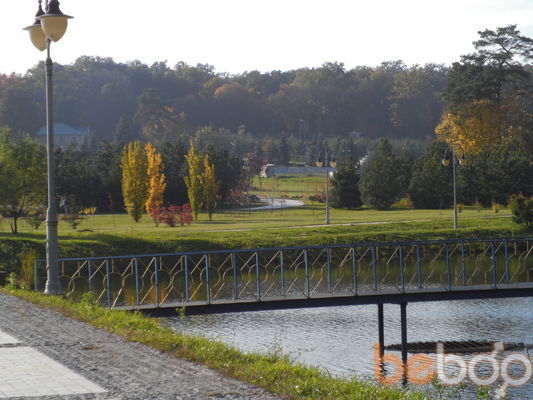 ���������� ����, ���� ������� ������, 40 ���, ������������ ��� ������, ����� � ���������, c�������� ���������