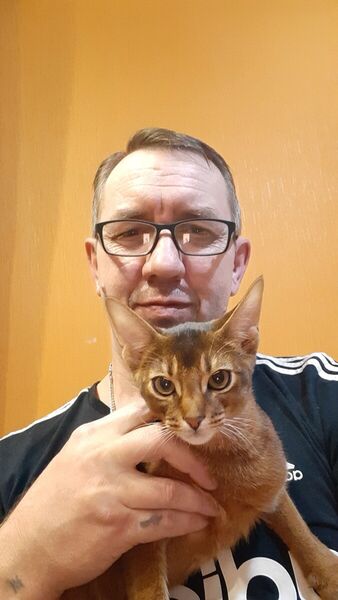  --,   , 55 ,   