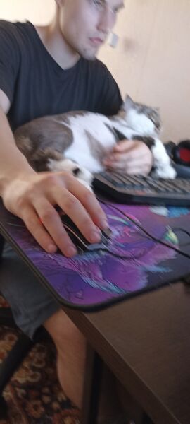  --,   Nikita, 26 ,   ,   