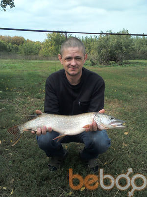 ���������� ������, ���� ������� �����, 48 ���, ������������ ��� ������, ����� � ���������, c�������� ���������, ���������