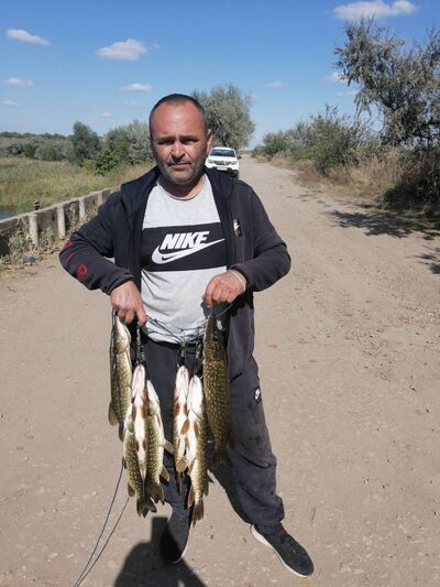  ,   , 50 ,     , c 