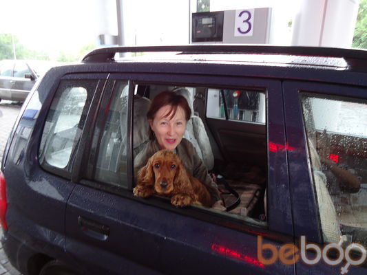 ���������� ������, ���� ������� ���� �������, 36 ���, ������������ ��� ����� � ���������, c�������� ���������