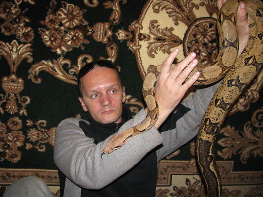  Al Ghardaqah,   Andrey, 49 ,   ,   , c 