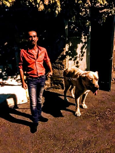  ,   Hayk, 55 ,   