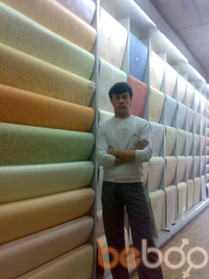  ,   Abbos, 40 ,   ,   , c 