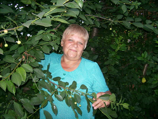  ,   , 67 ,  