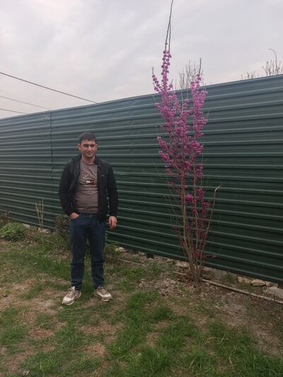  -,   , 32 ,   ,   