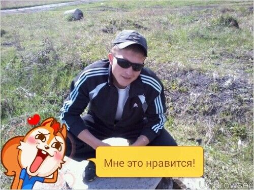  -,   , 34 ,   
