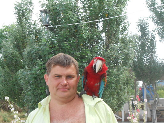  ,   , 52 ,   ,   , c 