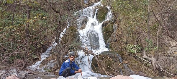  ,   Samandar, 33 ,   ,   