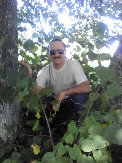  ,   , 53 ,   