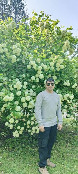  ,   B s v r, 37 ,   ,   