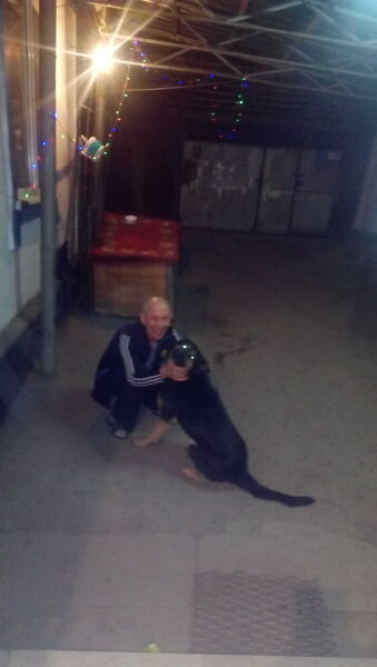  ,   Vitali, 63 ,     , c 