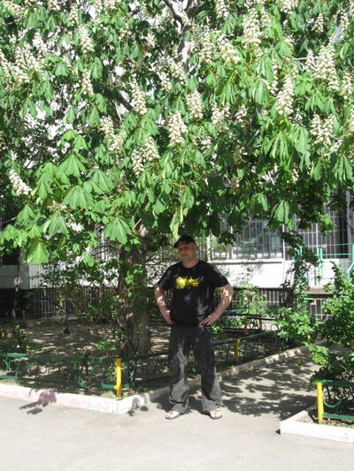  ,   , 54 ,   ,   , c 