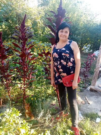  ,   , 52 ,   ,   