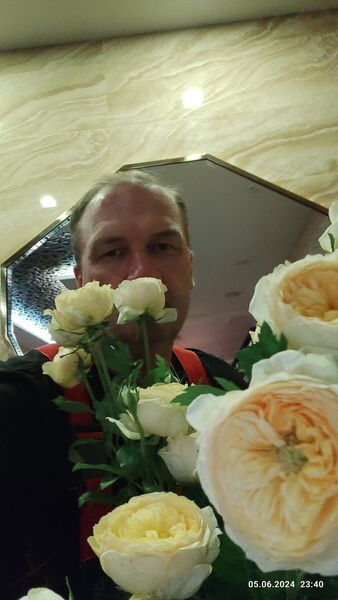  -,   , 51 ,   ,   , c 
