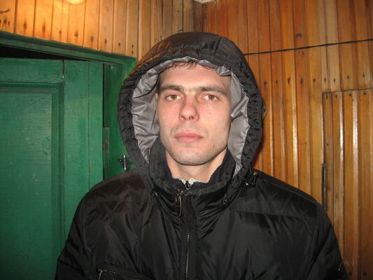  ,   BUSH, 40 ,     , c 