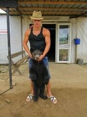 5332893  YAROSLAV, 33 ,    