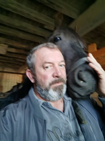  -,   , 56 ,   ,   , c 