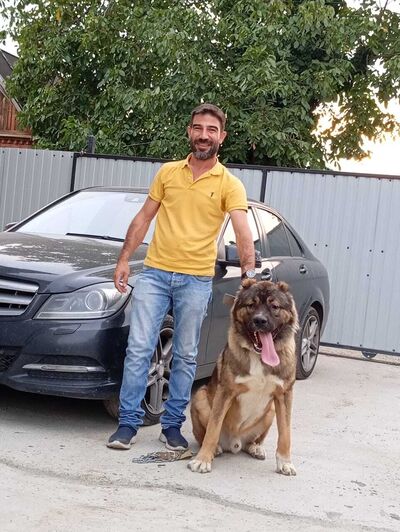  ,   Ayman, 41 ,   ,   