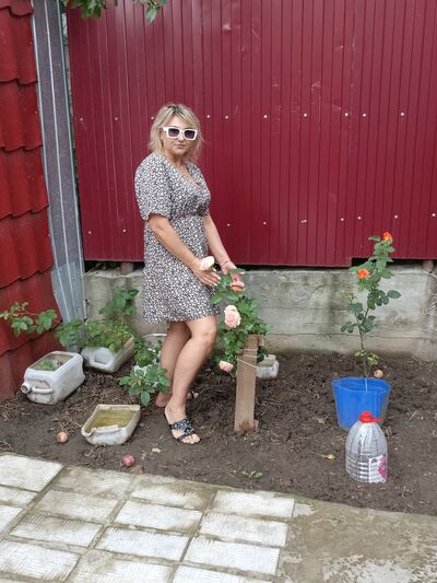  -,   , 50 ,   ,   , c 