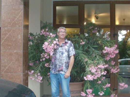  ,   , 55 ,   ,   