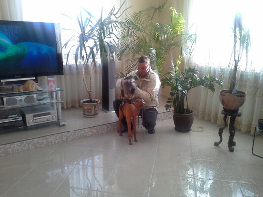  ,   , 47 ,   ,   , c , 