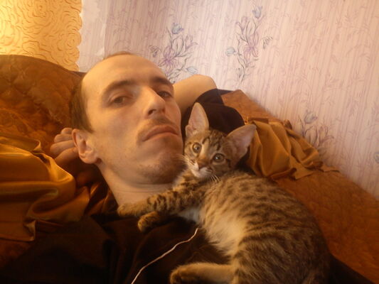  ,   , 39 ,   , 