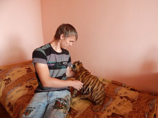  ,   Frenk, 29 ,   