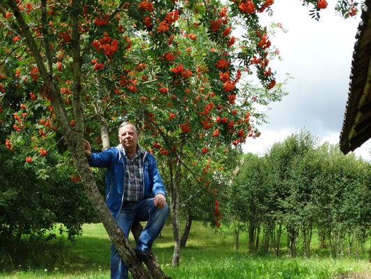  ,   Victor, 74 ,     , c 