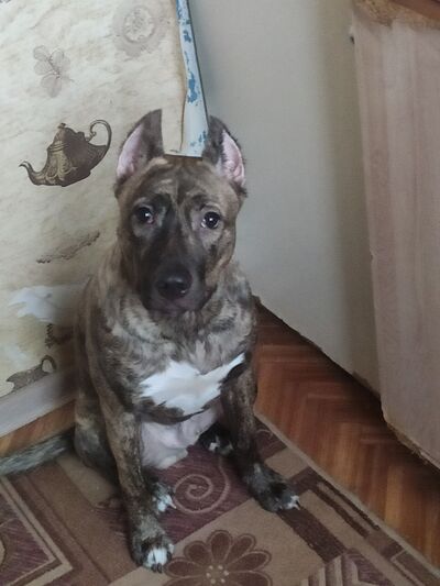  -,   , 31 ,   ,   
