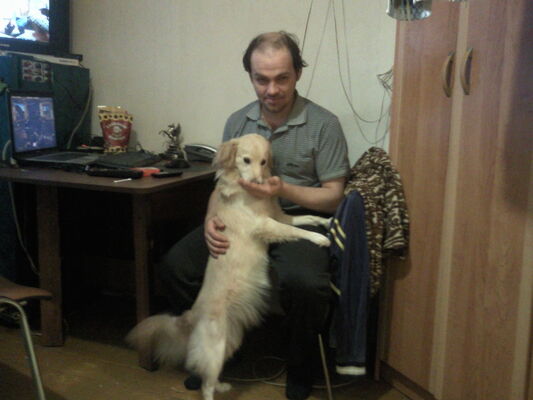  ,   , 46 ,   ,   , c 