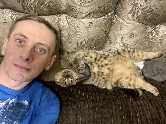  -,   , 37 ,   ,   , c , 