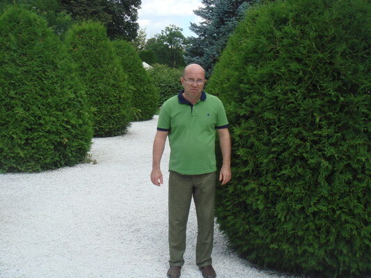   ,   , 55 ,   