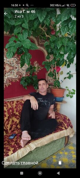  --,   , 49 ,   ,   
