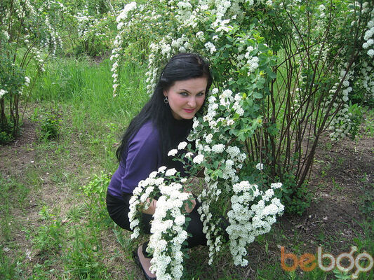  ,   Olea, 36 ,   