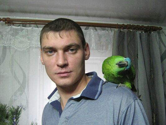  -,   , 40 ,   ,   , c 