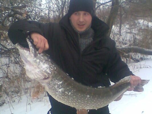  ,   Vano, 41 ,   ,   